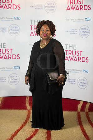 GSTT Awards 2014-10