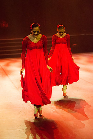 Passionata Performance