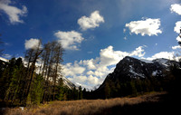 Altai E (88)