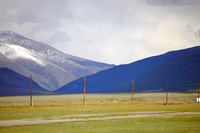 Altai D (112)