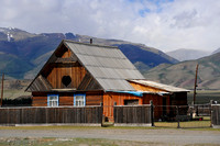 Altai D (111)