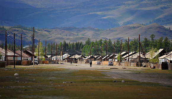 Altai D (110)