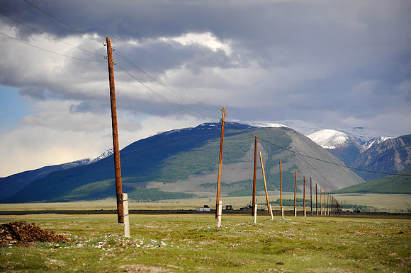 Altai D (108)