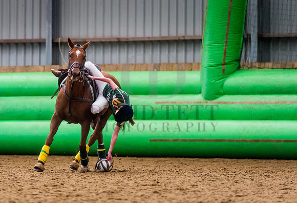 Horseball-57