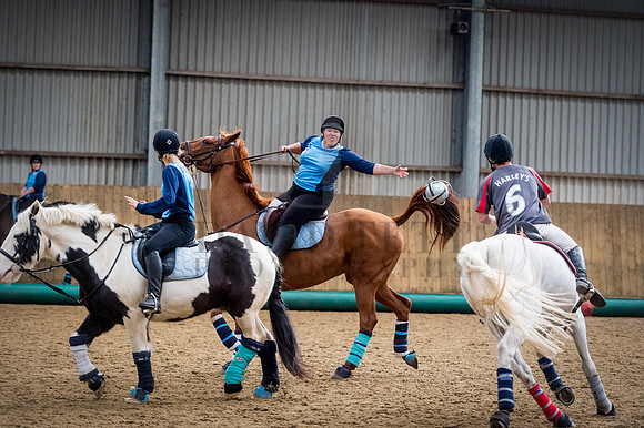 Horseball-94