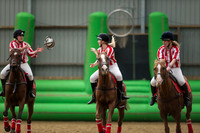 Horseball-4