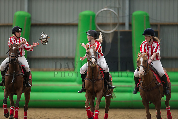 Horseball-4