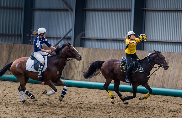 Horseball-156