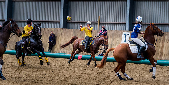 Horseball-155