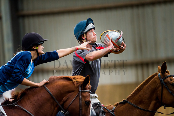 Horseball-14
