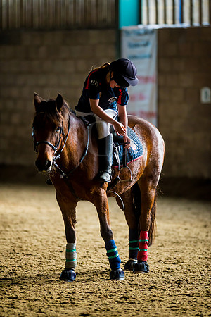 Horseball-32