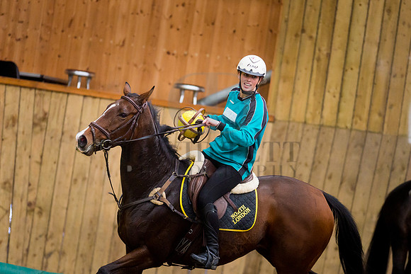 Horseball-34