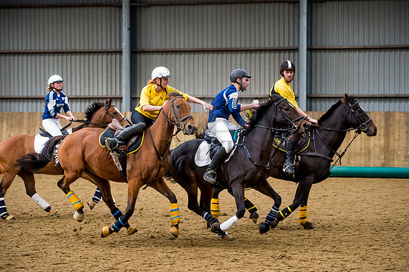 Horseball-109