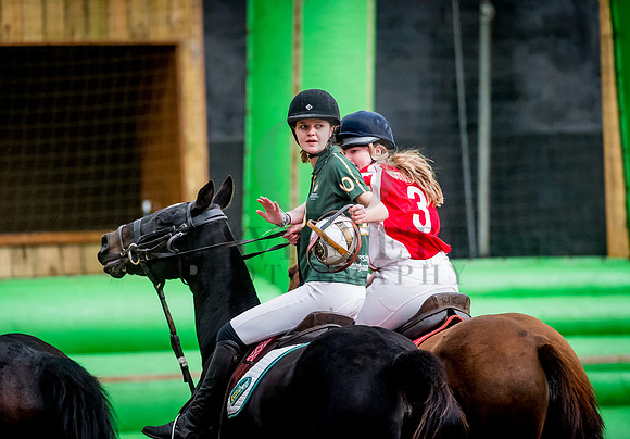 Horseball-65