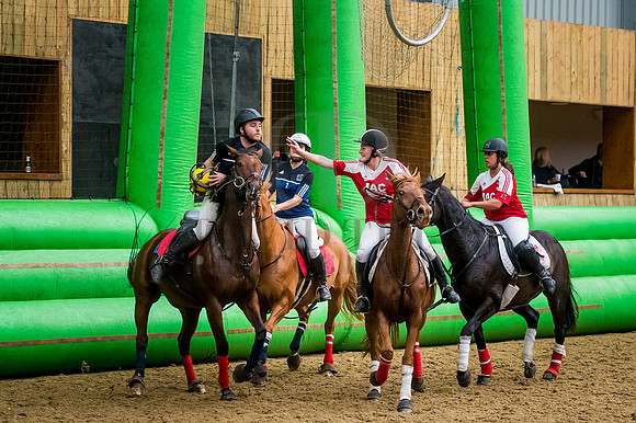 Horseball-51