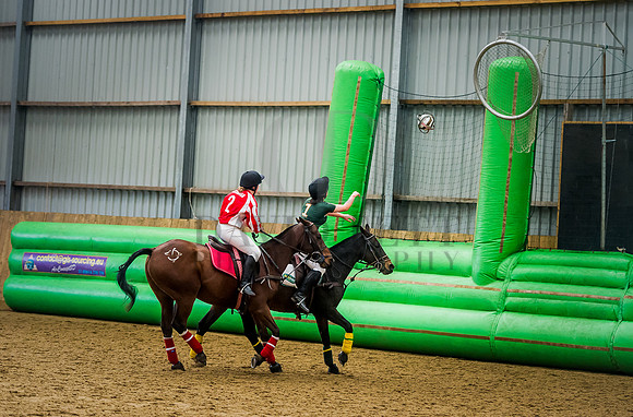 Horseball-77
