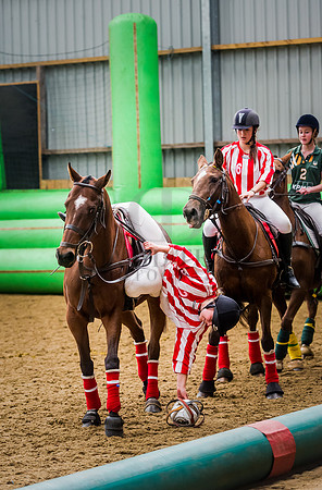 Horseball-78