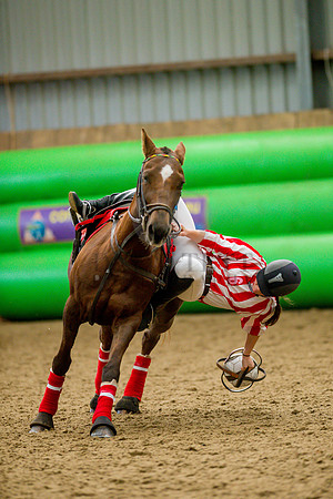Horseball-1