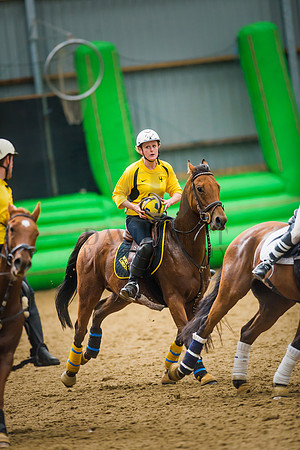 Horseball-30