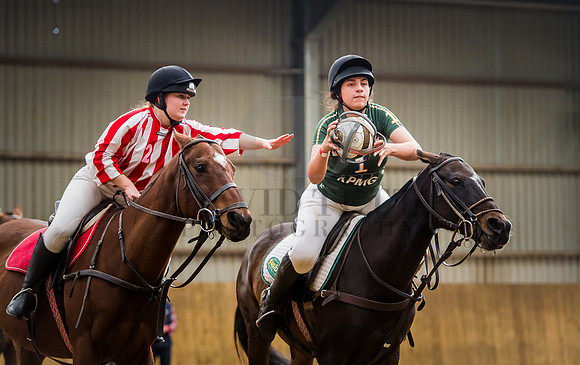 Horseball-69