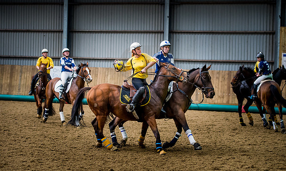 Horseball-153