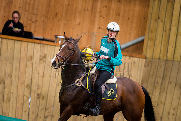 Horseball-35