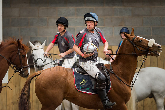 Horseball-10