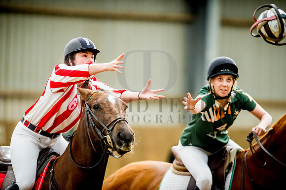 Horseball-61
