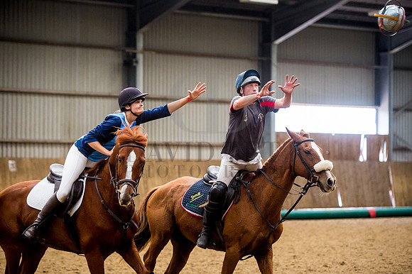 Horseball-102