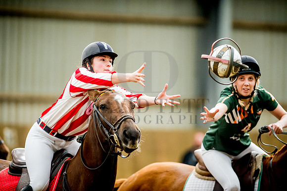 Horseball-62