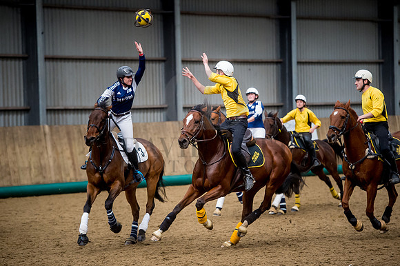 Horseball-123