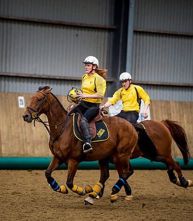 Horseball-116