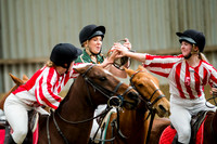 Horseball-8