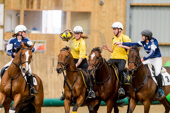 Horseball-27