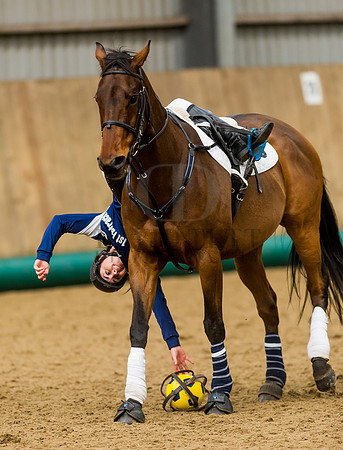 Horseball-25