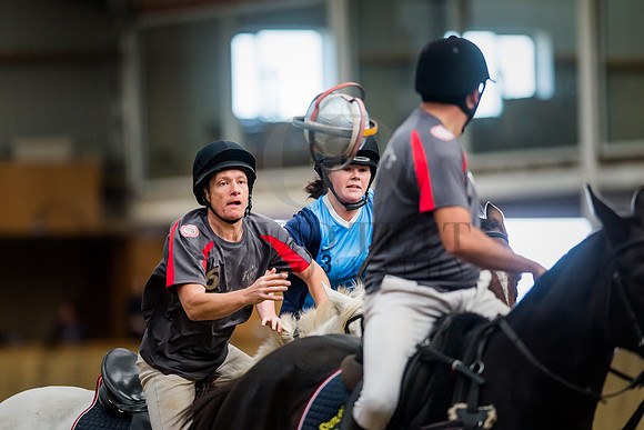 Horseball-18