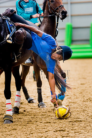 Horseball-36