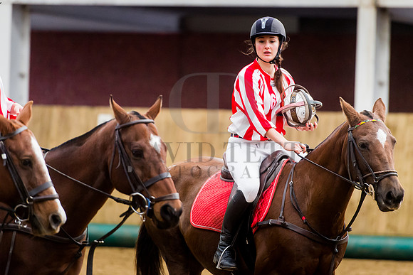 Horseball-55