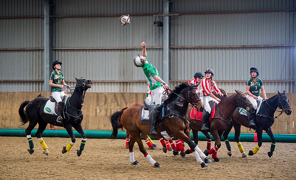 Horseball-81