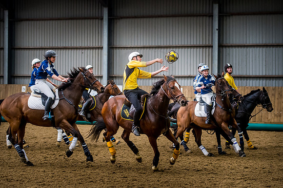 Horseball-151
