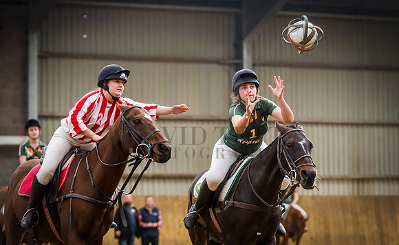 Horseball-68