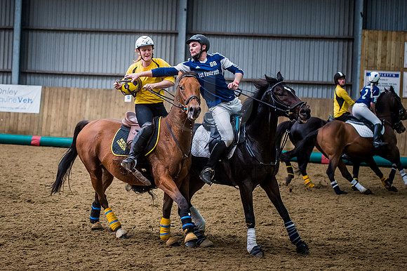 Horseball-140