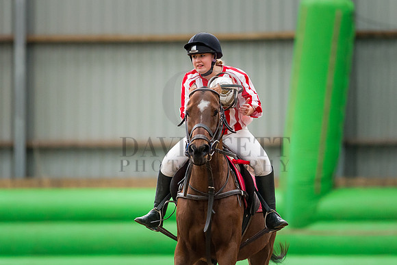 Horseball-5