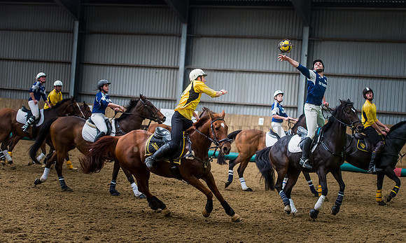 Horseball-154