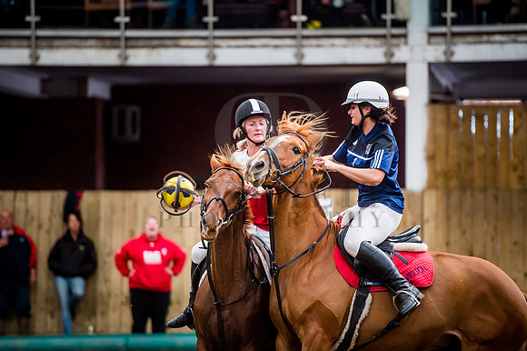 Horseball-49