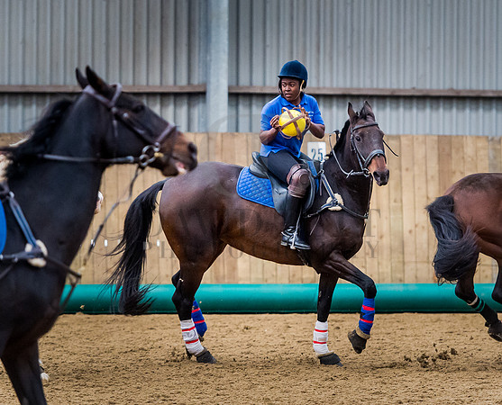 Horseball-160