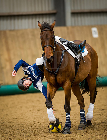 Horseball-24