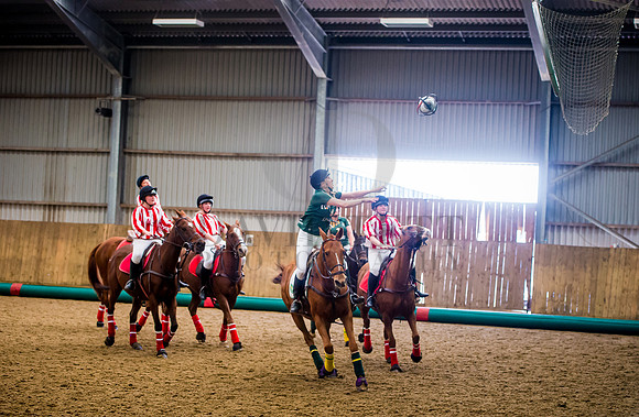 Horseball-83