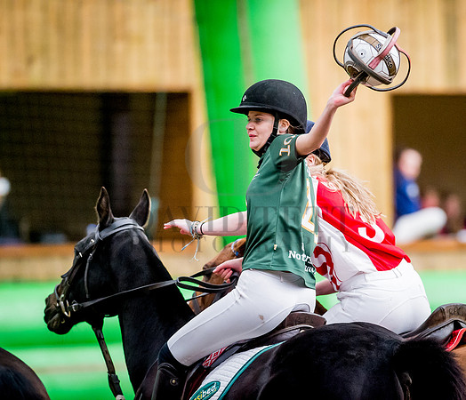 Horseball-64