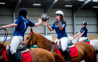 Horseball Day 2-19